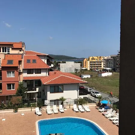Oasis *